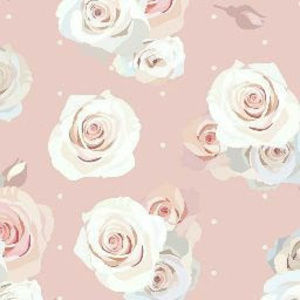 Meet your Posher, Arianna